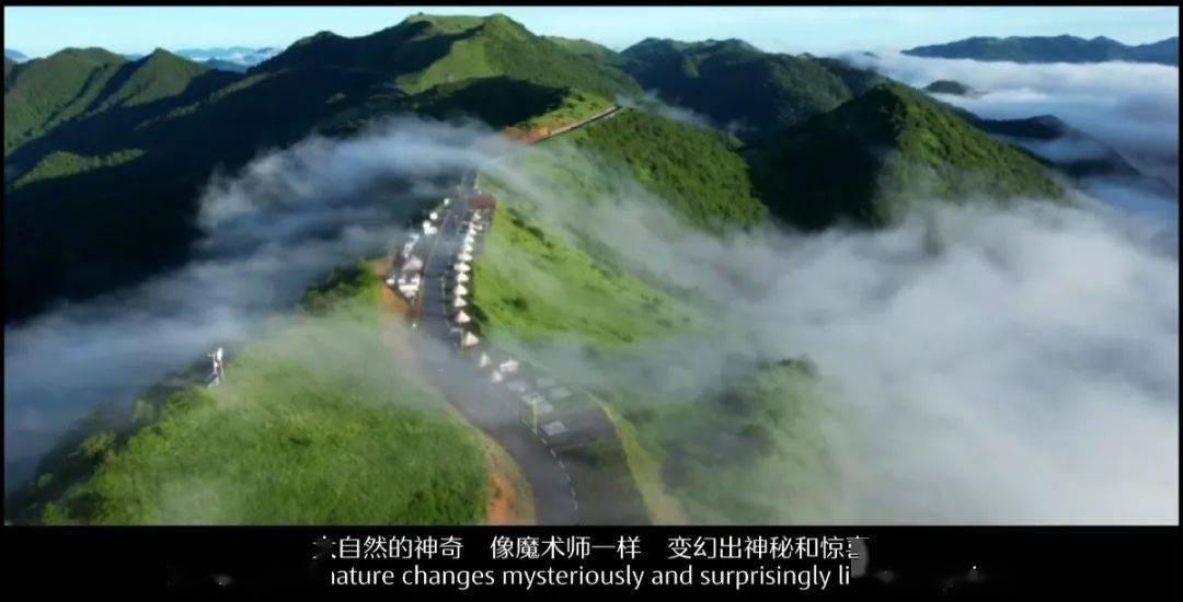 双人跨栏赛跑