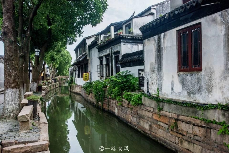 多肉植物游戏画面